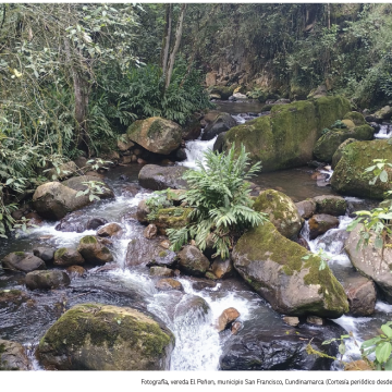 La geopolítica actual y sus impactos en biodiversidad